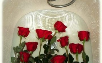 How to bring roses to life