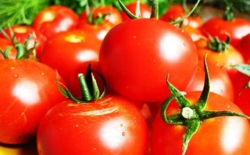pinching tomatoes