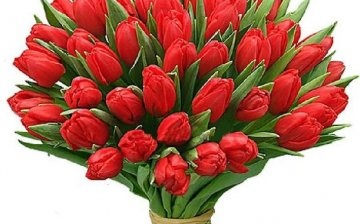 kytice tulipánů