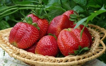 video despre îngrijirea căpșunilor