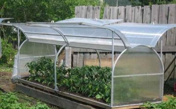 greenhouse for cucumbers