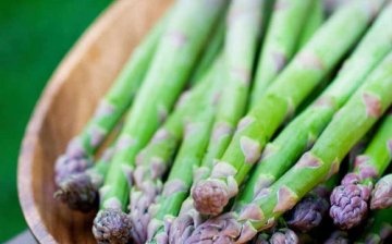 growing asparagus from seed