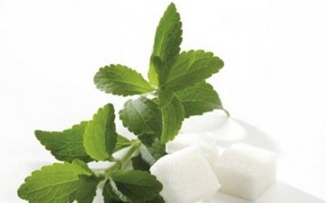 contraindicația steviei