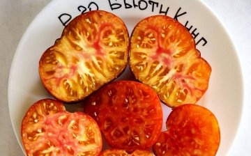 Izrezani paradajz Kralj ljepote