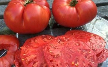 Izrezani paradajz Goveđe srce