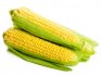 kukorica termesztése az országban