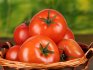 Reviews of tomato Orlets F1