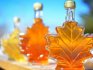 The use of sugar maple