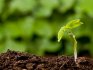 Principii și reguli ale agriculturii biodinamice