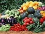 Az üvegházhatású termesztés előnyei