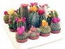 Razvrstavanje kaktusa