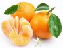 A mandarinfa szaporításának egyéb módjai