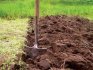 Site and soil preparation