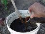 How to prepare biofertilizer with your own hands?