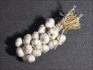 Harvesting and storage methods for garlic