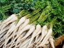 How to choose and store parsley root