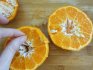 Mandarina iz kosti: pravila sadnje
