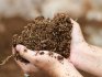Compost, peat and sawdust