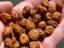The healing properties of chufa almonds
