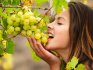 The most delicious grape varieties