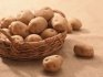 Kontrola škůdců brambor