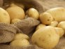Zvýšení výnosu brambor