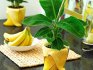 Banán termesztése