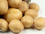 Krumpir Adretta