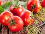 Brzy zralé odrůdy rajčat na otevřeném terénu