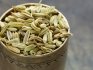 Methods and rules for storing fennel