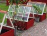 How to make a mini greenhouse out of unnecessary windows