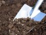 Soil preparation, terms and rules of planting
