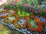 General rules for decorating a flower garden