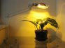 الإضاءة الاصطناعية للنباتات