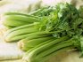 Petiolate celery
