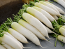 What is daikon?