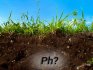 Soil acidity - what is it?