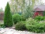 The best varieties and types of thuja for growing