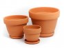 Selection of containers for plants