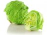 Iceberg cabbage varieties