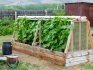 Options for the construction of frame greenhouses