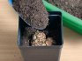 Pot and soil selection