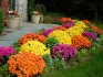 Simple flower beds