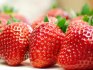 Repairing strawberry varieties