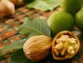 Vlašské ořechy: složení a vlastnosti