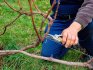 Rules, types of pruning
