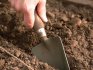 Pregătirea semințelor și a solului