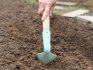 Planting radishes - nuances and features