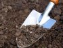 A talaj előkészítése a répa ültetésére