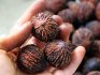 Výhody vlašských ořechů a jejich využití v medicíně